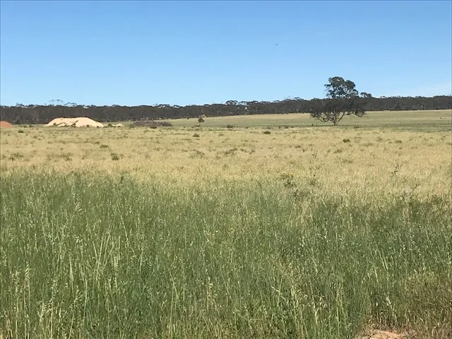 VACANT LAND 7.08 HA WITH HIGHWAY ONE FRONTAGE