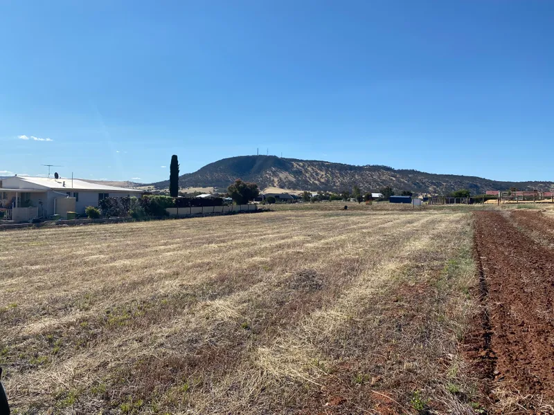 Hilltop block great value