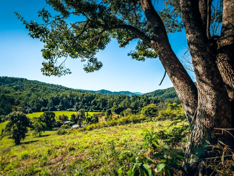 This is rural living at its best…