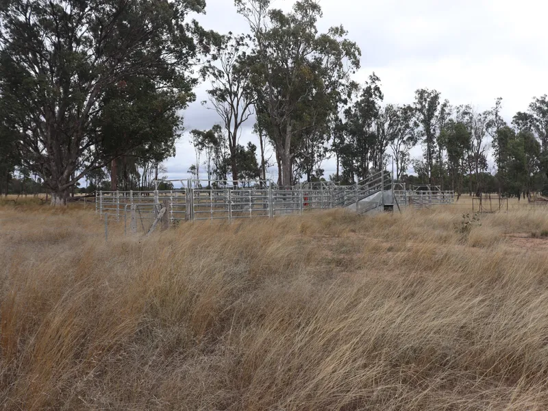 Development Opportunity