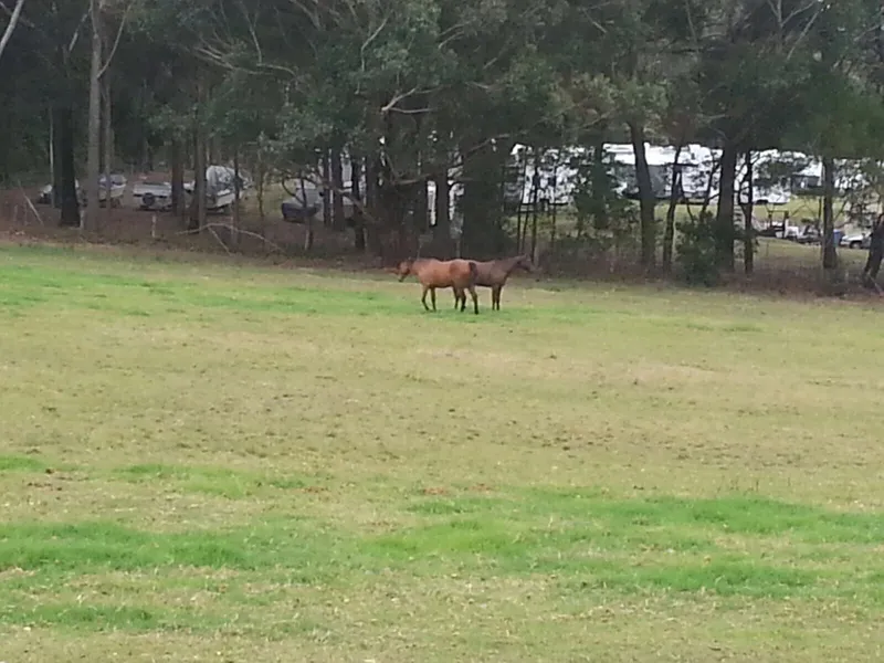 Vacant Land for lease