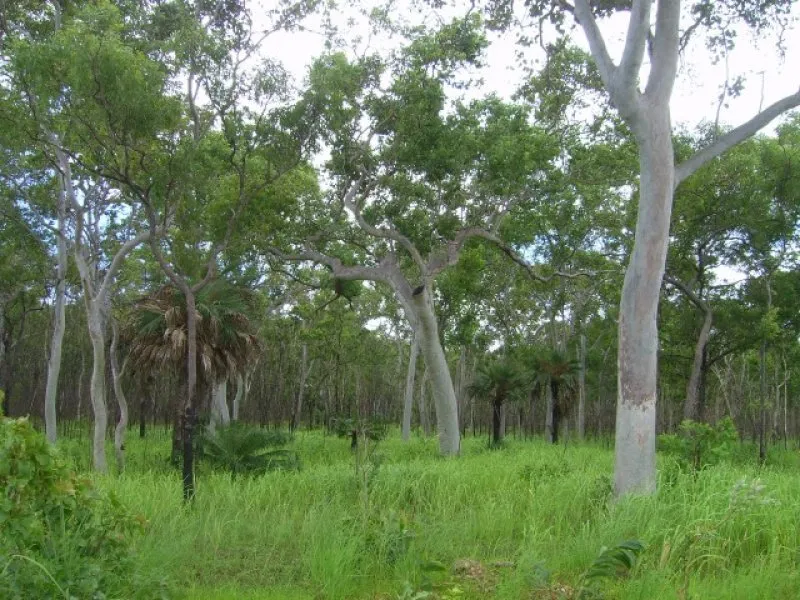 72 Acres. Near Town.