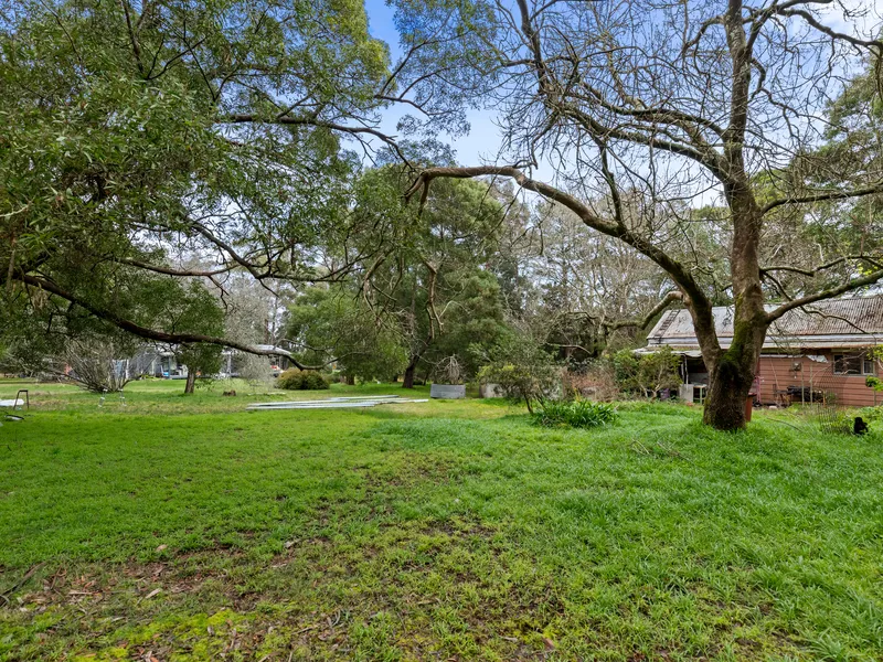 VACANT BUSH BLOCK BACKING ONTO CROWN LAND