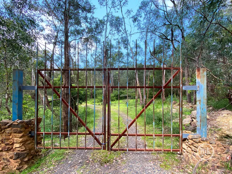 Escape the City, Build the Dream