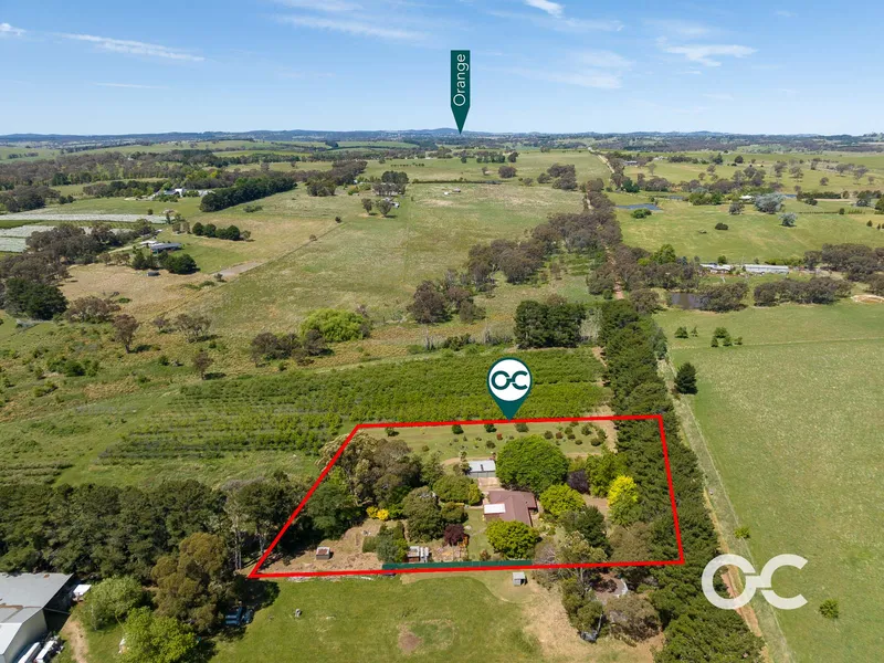 Two private acres with amazing trees