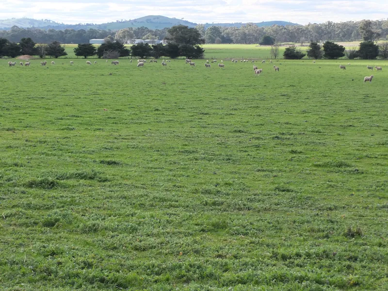 249.5 ACRES: PRIME LAND (Lot 2)