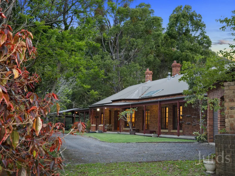 MOUNT VINCENT MAGIC