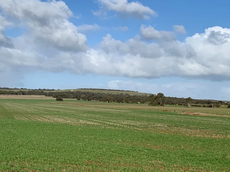 14.25 hectare (approx.) Rural Lifestyle allotment with mains water and power available