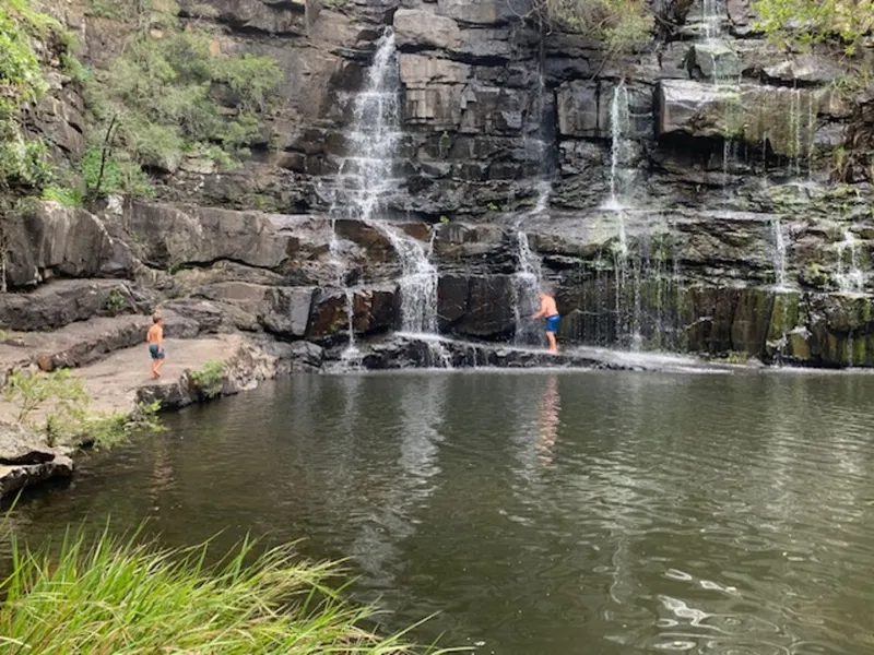 PARADISE FOUND