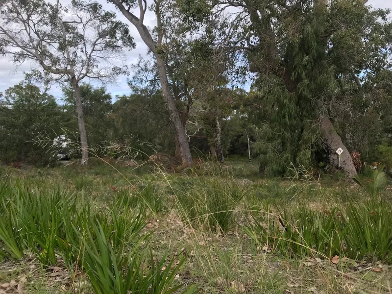 A rare beauty with views of the inlet.