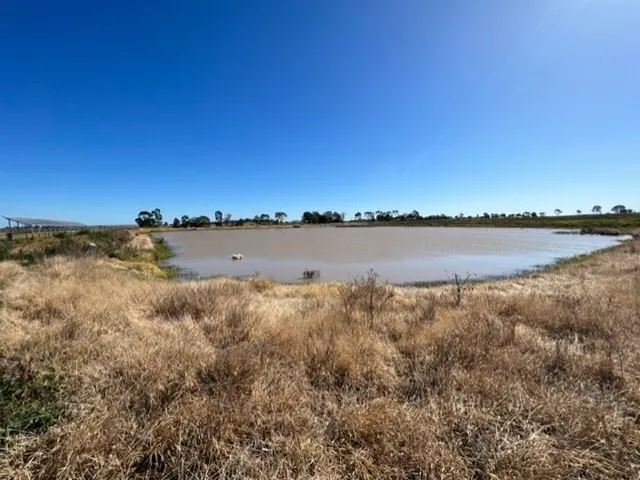 3 Lots Totaling 51Ha - dam with Irrigation-Solar to the Grid