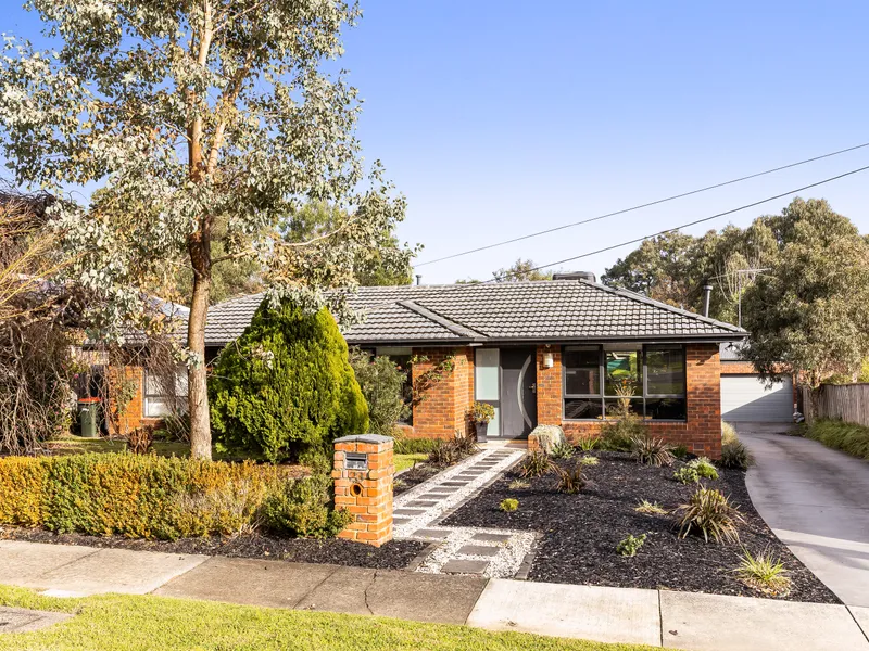 Modern Urban Brilliance