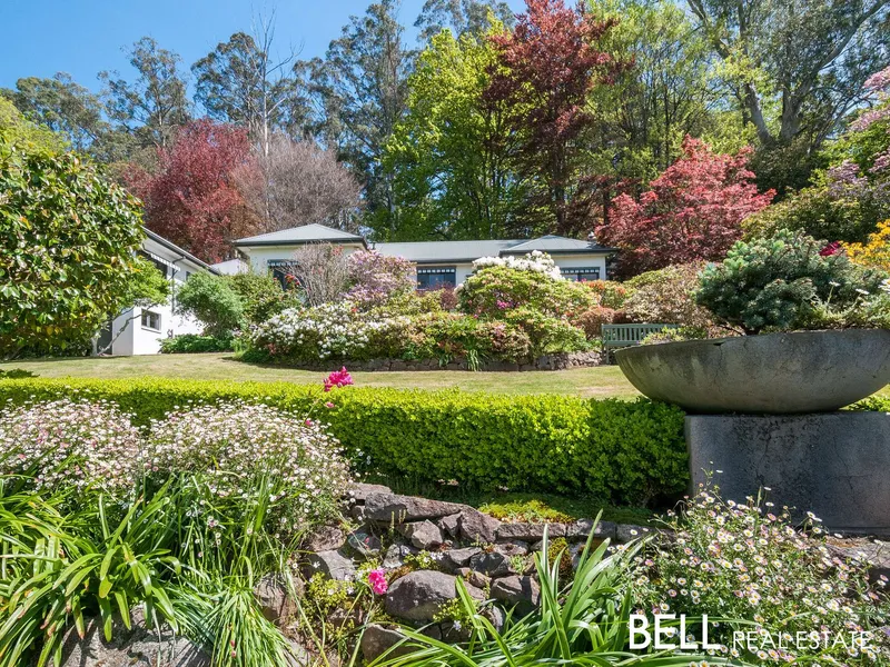 Dalkeith – Perfection Awaits. 