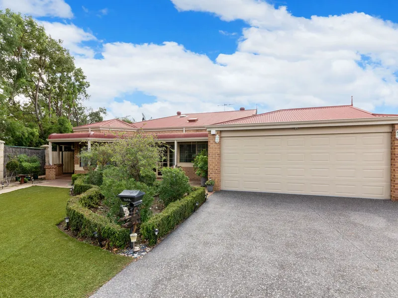 Ross North - The Burgundy