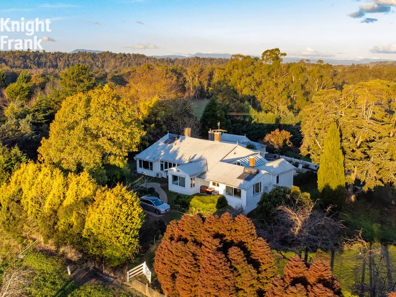 A Family Home with Space to Grow