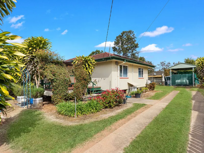 Gardener's Delight in Leichhardt!
