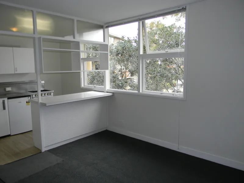 LEAFY STUDIO IN TERRIFIC LOCATION