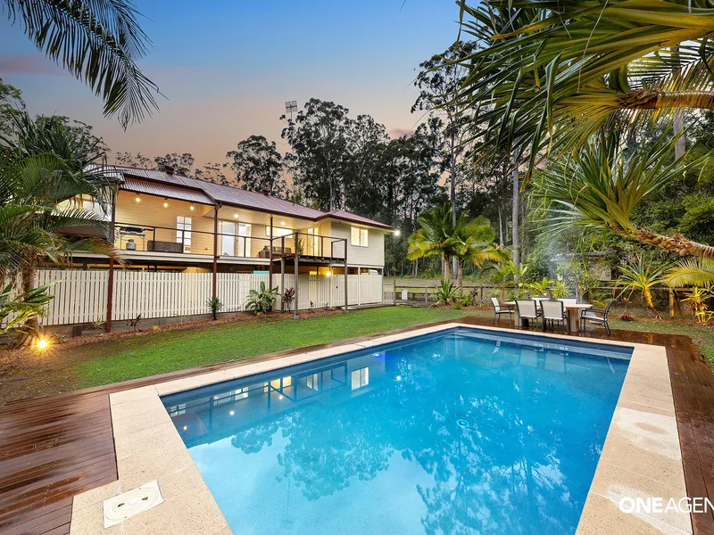 Noosa Hinterland Sanctuary