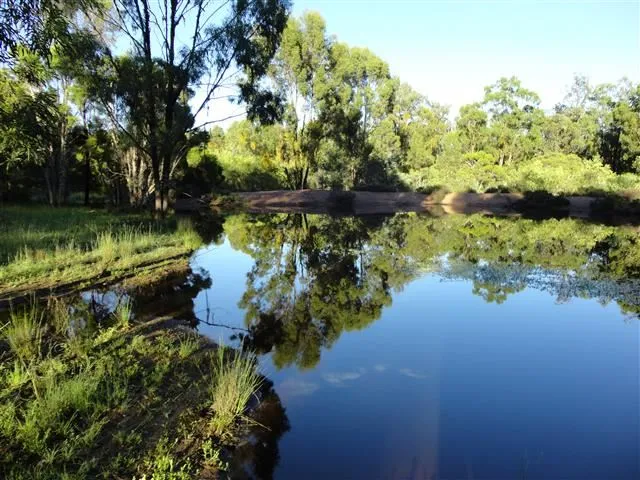 Total Seclusion - Over 2100 Acres yours for the taking