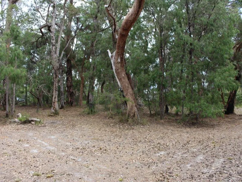 Boronia Ridge Beauty