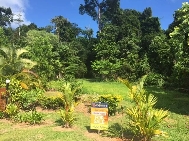 Elevated Rainforest Acreage