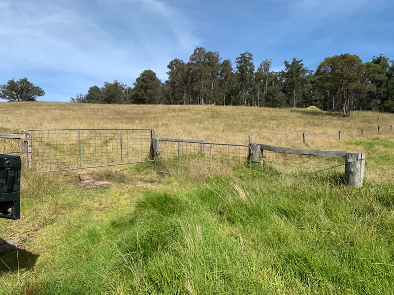 Beautiful grazing property of approximately 250 acres.