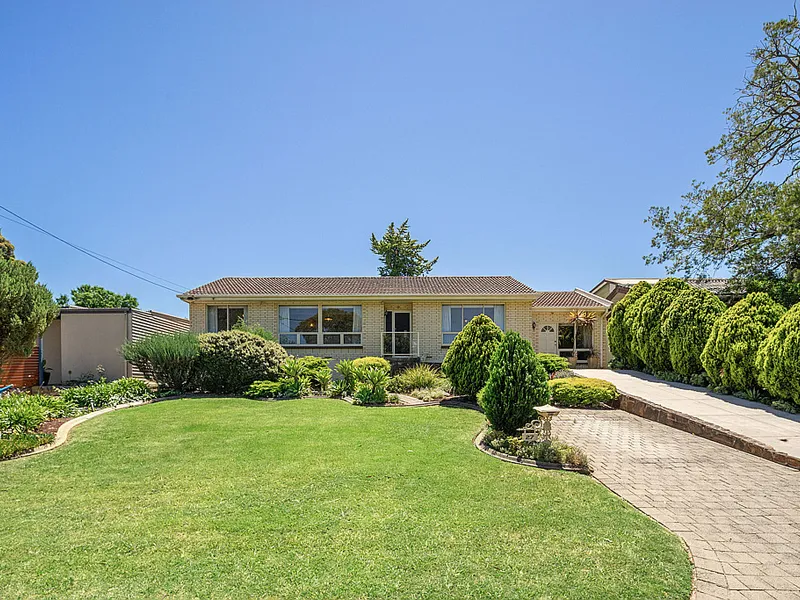 Spacious living in sought after pocket of O'Halloran Hill