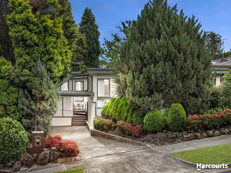 Contemporary Family Lifestyle In Dual School Zones!