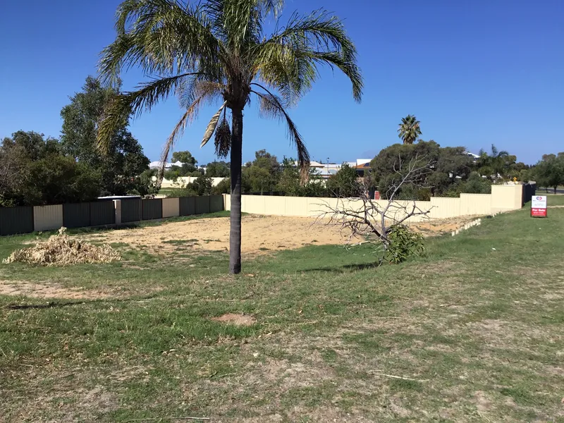 What an opportunity!