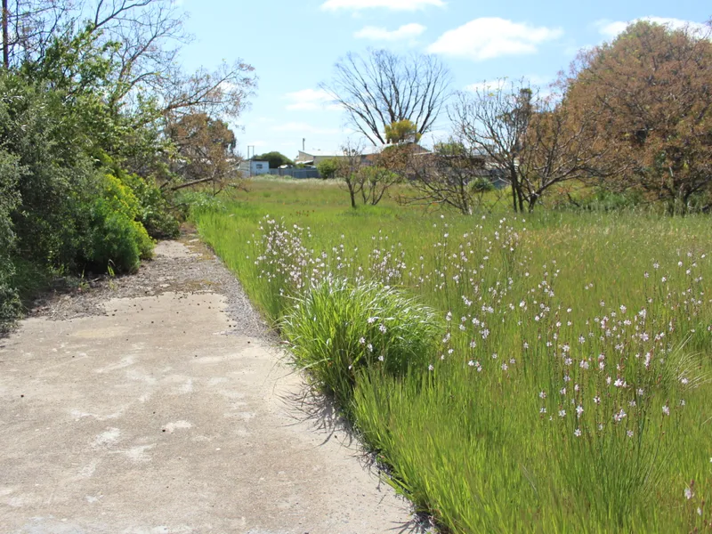 Prime Allotment in Central Jeparit