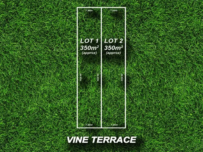 Fantastic Development and Investment Opportunity