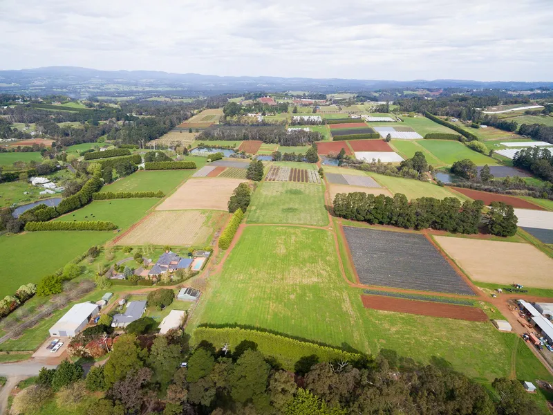 18 Picturesque Acres with Plans & Permit  
