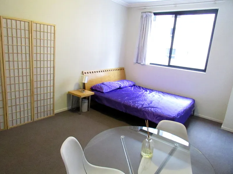 Furnished Studio Conveniently Located