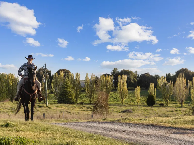 Afford Your Family The Best Country Life