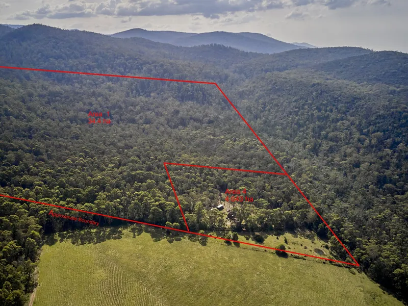 Live the off-grid life