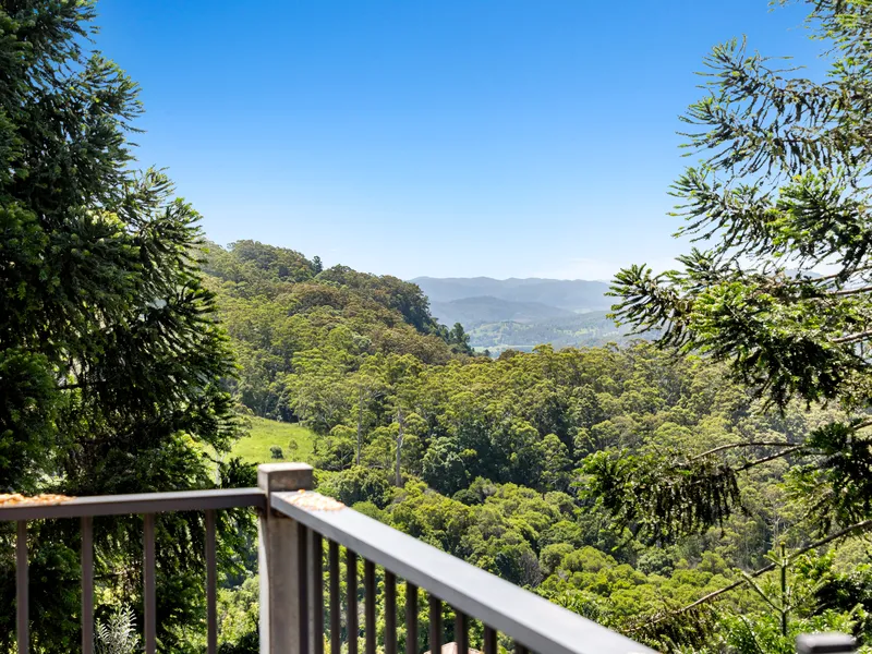 COMING TO MARKET IN JANUARY.