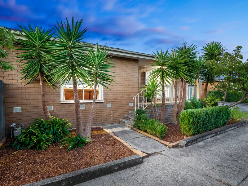 A FOCUS ON ENTERTAINING