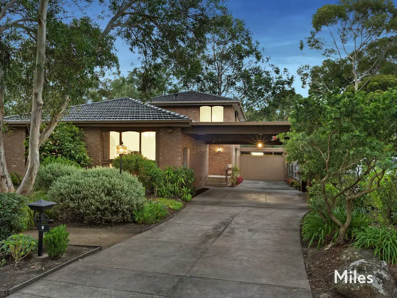 Dream Dimensions Directly On Rosanna Parklands