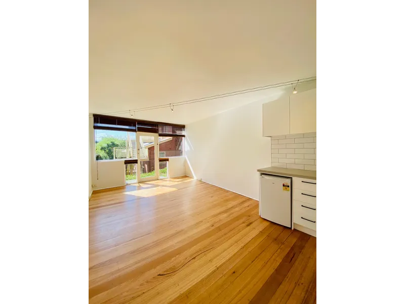 Stunning Renovated Studio Apartment