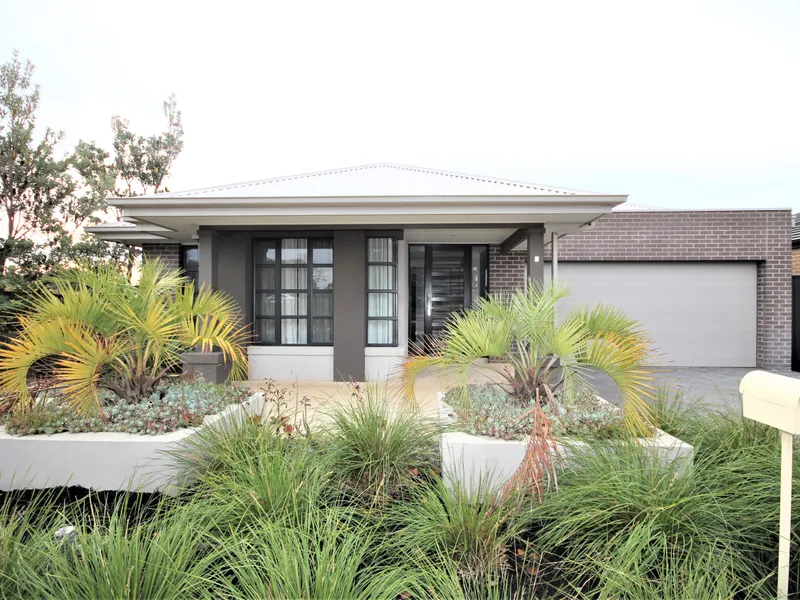 Amazing X Display Home