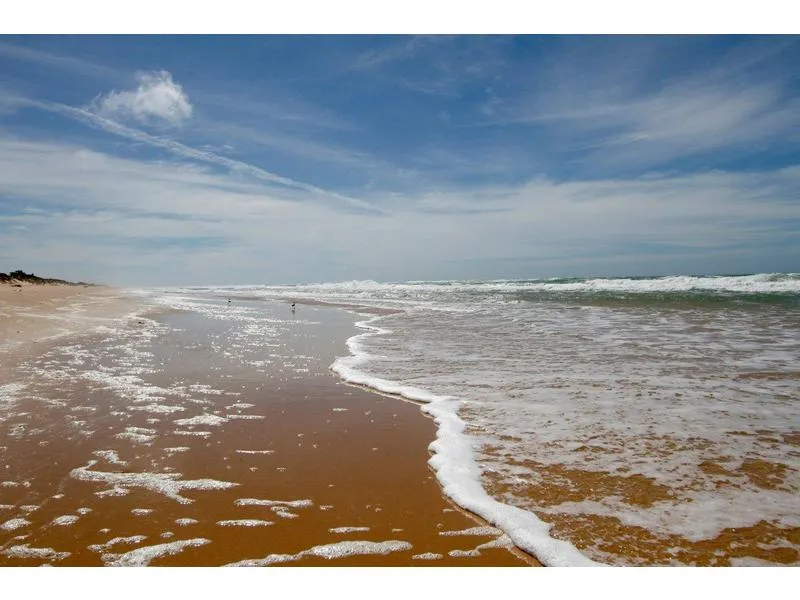 Honeysuckle Heaven ! Be On The Beach In Minutes.