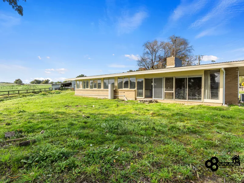 Calling all horse lovers!