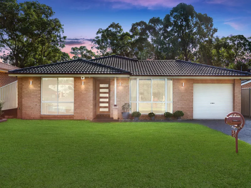 Entertainers paradise 