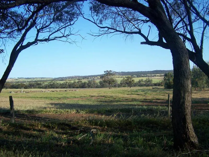 10 ACRES, Owner says 