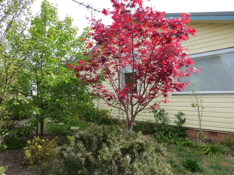 Open home time moved!