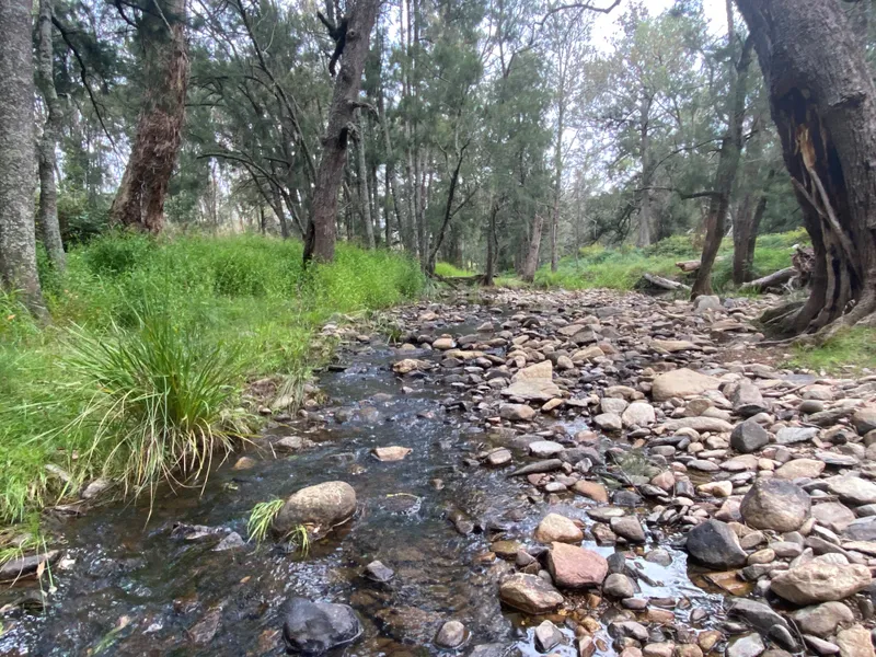 Outstanding Getaway Block - Creek Frontage