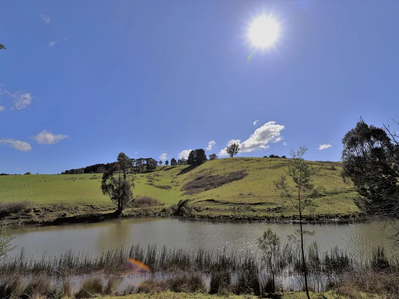 100 Productive Acres! With 2 Water Licences!!