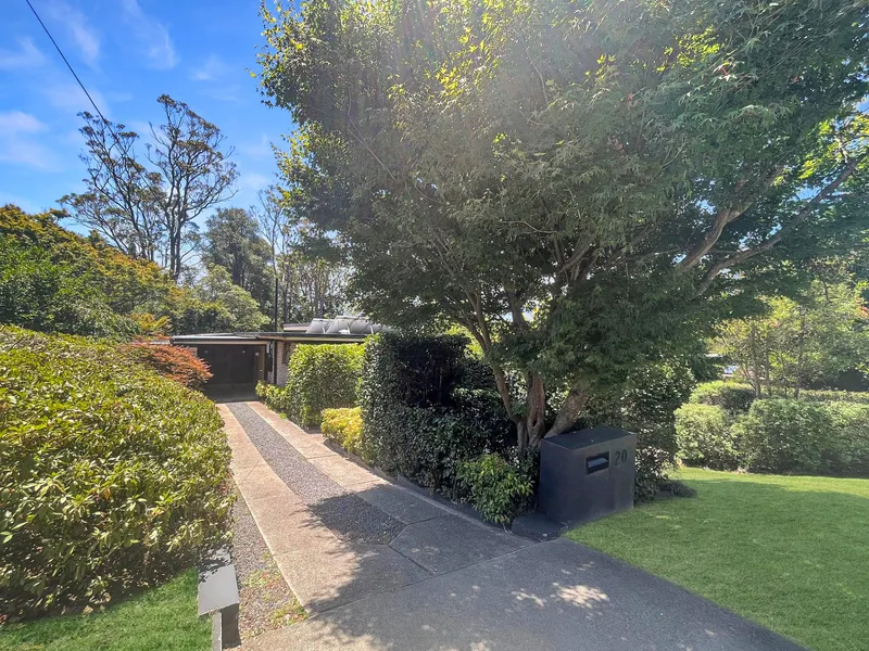 Lower Mountains Paradise