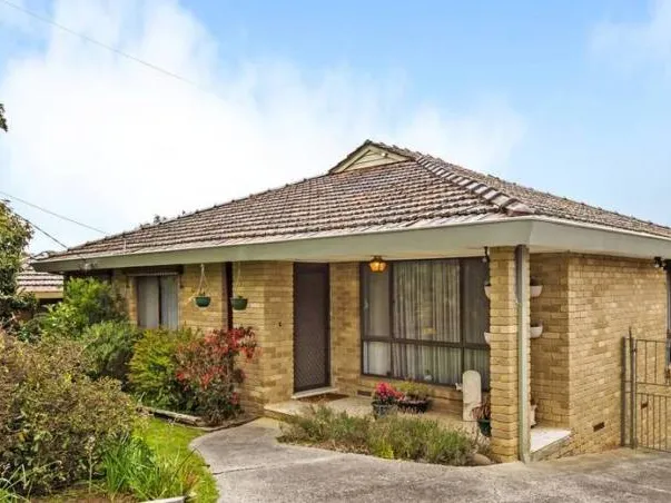 Easy Livability Immersed in Tree Top Views