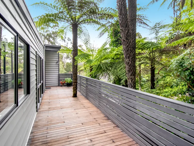 Peaceful Haven with Ferny Creek Frontage